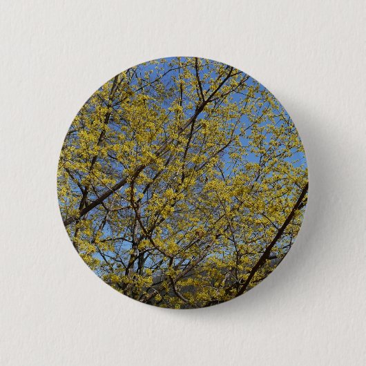 Badge Rond 5 Cm Cornelian Cherry (Devant)