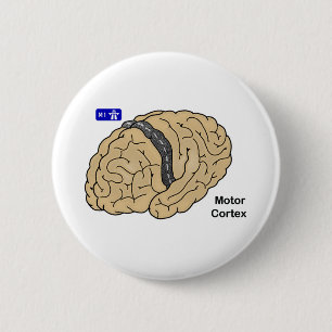 Badge Rond 5 Cm Cortex moteur