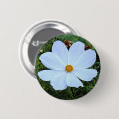 Badge Rond 5 Cm Cosmos blancs (Devant & derrière)