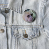 Badge Rond 5 Cm Costa Rica - Singe à tête blanche (En situation)