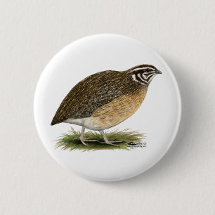 Badge Rond 5 Cm Coturnix Pharaoh