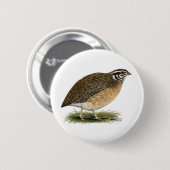 Badge Rond 5 Cm Coturnix Pharaoh (Devant & derrière)