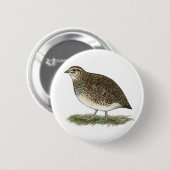 Badge Rond 5 Cm Coturnix Quail (Devant & derrière)