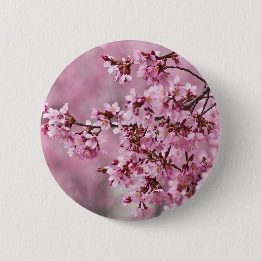 Badge Rond 5 Cm Couches de rose en pastel de fleurs de cerisier de (Devant)