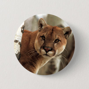 Badge Rond 5 Cm Cougar