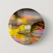 Badge Rond 5 Cm Couleurs d'automne (Devant)