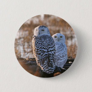 Badge Rond 5 Cm Couples de hibou de Milou