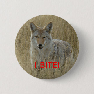 Badge Rond 5 Cm Coyote R2 dans l'herbe grande