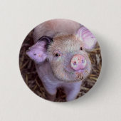 Badge Rond 5 Cm Cozmico (Devant)