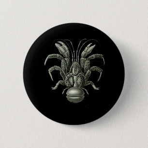 Badge Rond 5 Cm Crabe de cocotiers