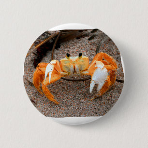 Badge Rond 5 Cm Crabe de violoneur sur l'orange de Colorized de
