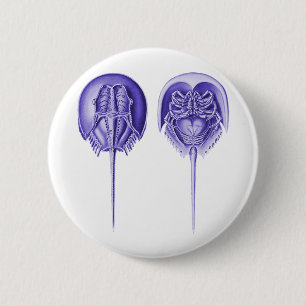 Badge Rond 5 Cm Crabe en fer à cheval