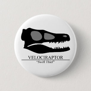 Badge Rond 5 Cm Crâne Velociraptor