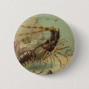 Badge Rond 5 Cm Crevettes, Vie sous-marine, Animaux de l'océan vin