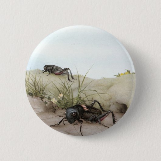 BADGE ROND 5 CM CRICKET DE THE FIELD (Devant)