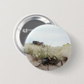 BADGE ROND 5 CM CRICKET DE THE FIELD (Devant & derrière)