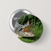 Badge Rond 5 Cm Crocodile (Devant & derrière)