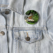 Badge Rond 5 Cm Crocodile (En situation)