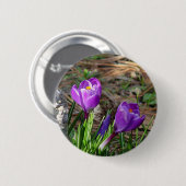 Badge Rond 5 Cm Crocus dans le bouton de fleur (Devant & derrière)