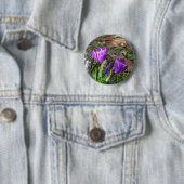 Badge Rond 5 Cm Crocus dans le bouton de fleur (En situation)