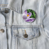 Badge Rond 5 Cm Crocus de printemps violet (En situation)