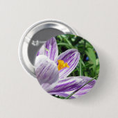 Badge Rond 5 Cm Crocus de printemps violet (Devant & derrière)
