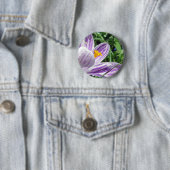 Badge Rond 5 Cm Crocus de printemps violet (En situation)
