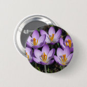 Badge Rond 5 Cm Crocus violets ensoleillés (Devant & derrière)