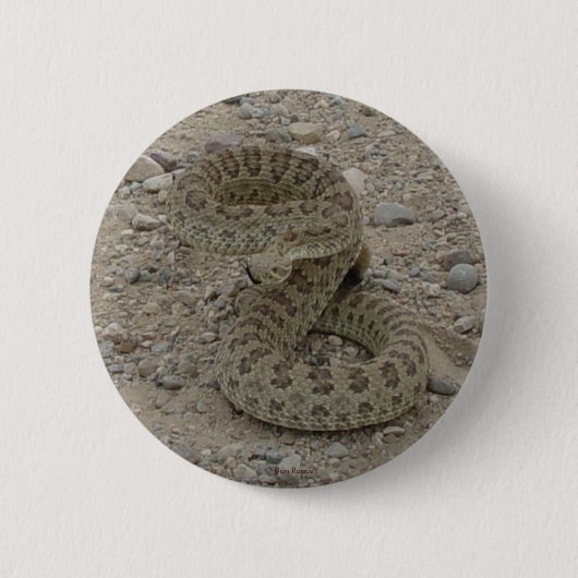 Badge Rond 5 Cm Crotale des prairies R9 (Devant)