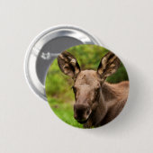 Badge Rond 5 Cm Curieux orignal (Devant & derrière)