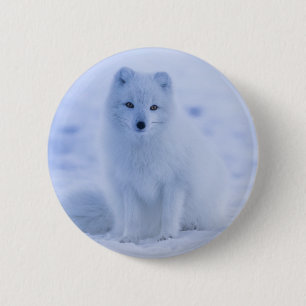 Badge Rond 5 Cm Cute Arctic Fox sur Snowy Winter Arrière - plan