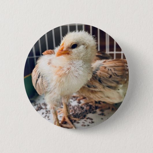 Badge Rond 5 Cm Cute Baby Chick Round Button (Devant)