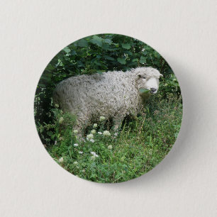 Badge Rond 5 Cm Cute Fluffy White Sheep Eating Button