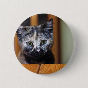 Badge Rond 5 Cm Cute Kitten noir et blanc