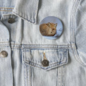 Badge Rond 5 Cm Cute Little Fox Curling Up Winter Photo (En situation)