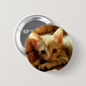 Badge Rond 5 Cm Cute Little Kitten (Devant & derrière)