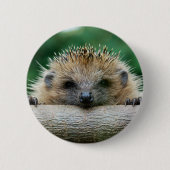 Badge Rond 5 Cm Cutest Baby Animals | Hedgehog Smile (Devant)
