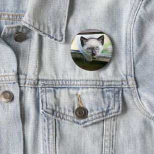 Badge Rond 5 Cm Cutest Baby Animals Siamese Kitten 2