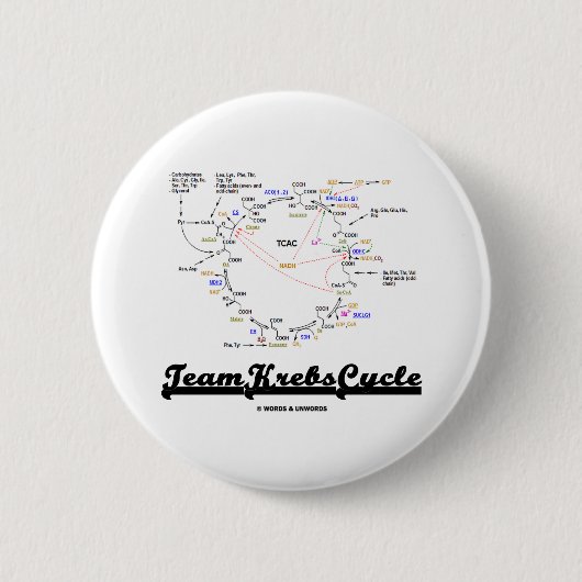 Badge Rond 5 Cm Cycle de Krebs d'équipe (cycle d'acide citrique - (Devant)