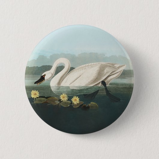 Badge Rond 5 Cm cygne audubon cygnes d'eau blanche (Devant)