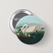 Badge Rond 5 Cm cygne audubon cygnes d'eau blanche (Devant & derrière)