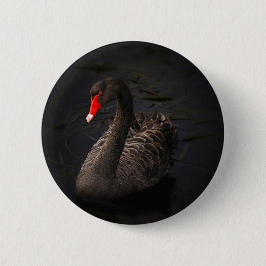 Badge Rond 5 Cm Cygne noir (Devant)