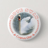 Badge Rond 5 Cm Cygne tuberculé (Devant)
