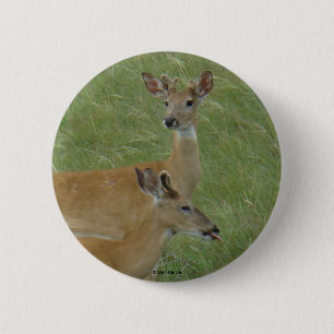 Badge Rond 5 Cm D6 Boucles de printemps de cerfs à queue blanche