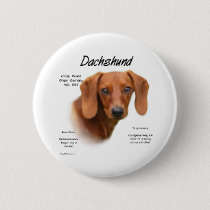 Badge Rond 5 Cm Dachshund lisse rencontre la race - Bouton