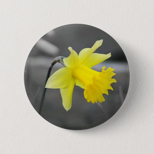 Badge Rond 5 Cm Daffodile (Devant)