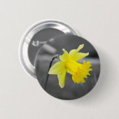 Badge Rond 5 Cm Daffodile (Devant & derrière)