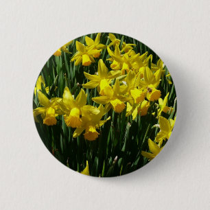 Badge Rond 5 Cm Daffodiles Jaunes I Fleurs De Printemps Cheveux