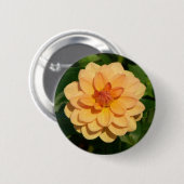Badge Rond 5 Cm Dahlia 'David Howard' (Devant & derrière)