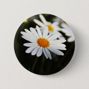 Badge Rond 5 Cm Daisy